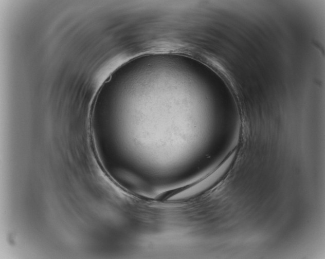 X0000099451487200805161010