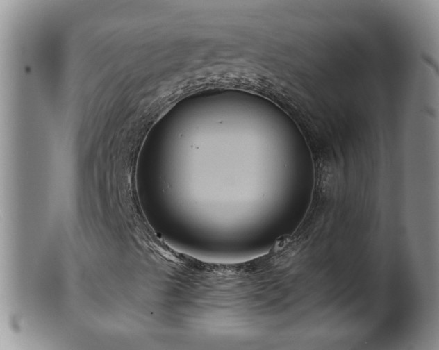 X0000099451489200805161009