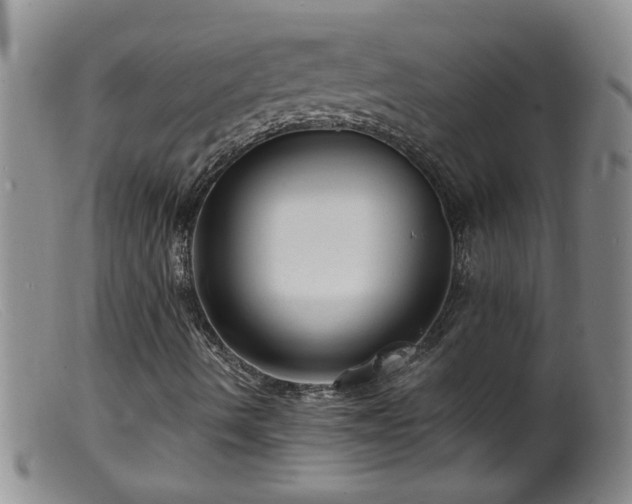 X0000099451490200805161009