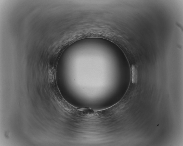 X0000099451491200805161009