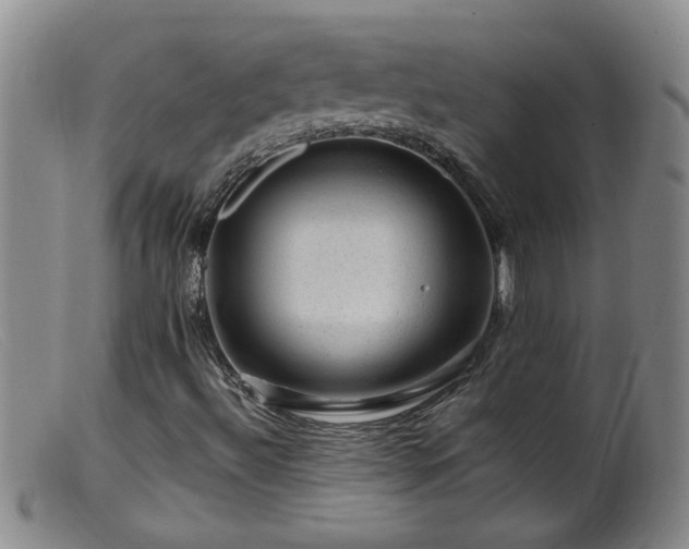 X0000099451492200805161009