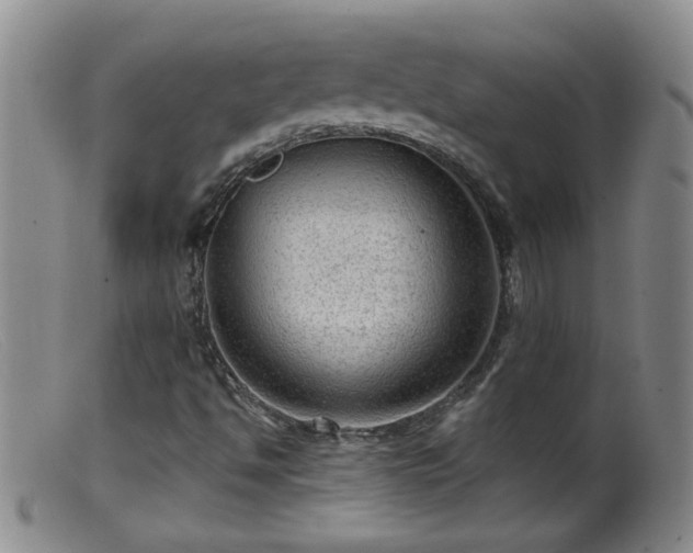 X0000099451494200805161009