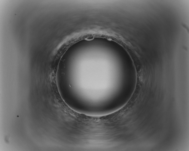 X0000099451495200805161009