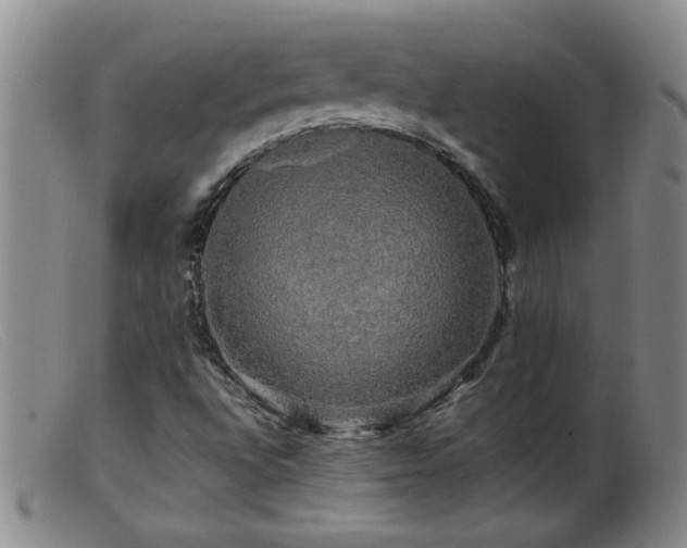 X0000099451496200805161009