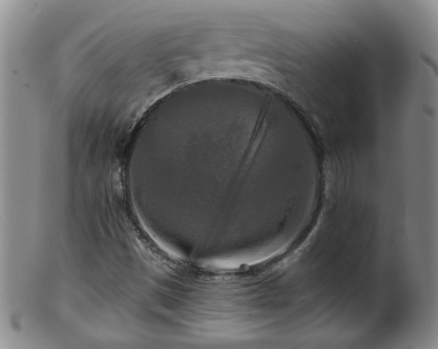 X0000099451497200805161009