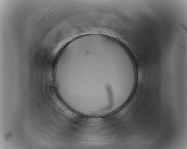 X0000099451498200805161009