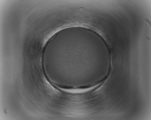 X0000099451500200805161010