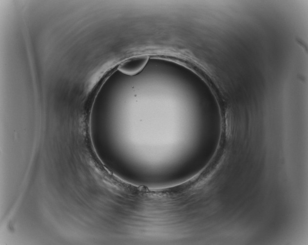 X0000099451501200805161010