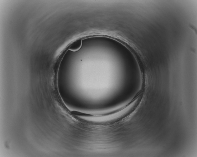 X0000099451502200805161010