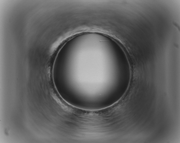 X0000099451503200805161010