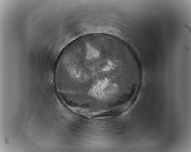 X0000099451505200805161010