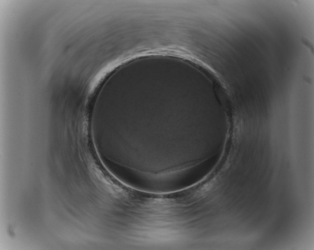 X0000099451506200805161010