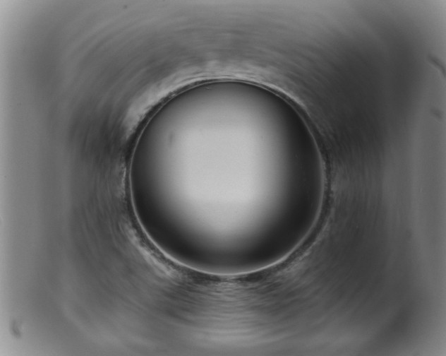 X0000099451507200805161010