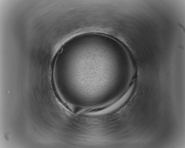 X0000099451508200805161010