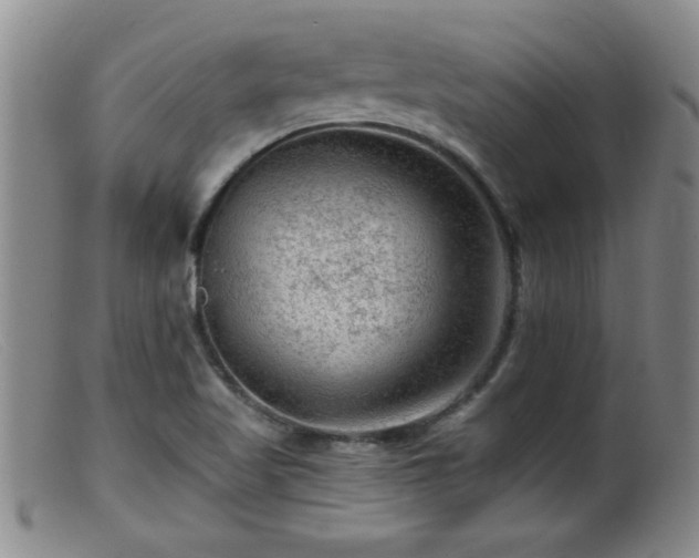 X0000099451509200805161010