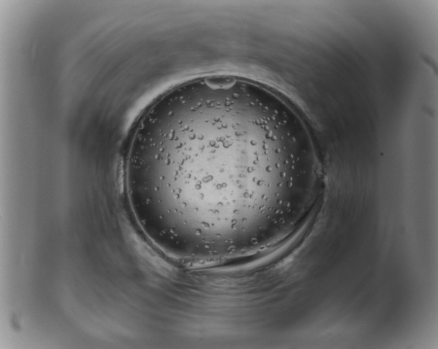X0000099451510200805161010