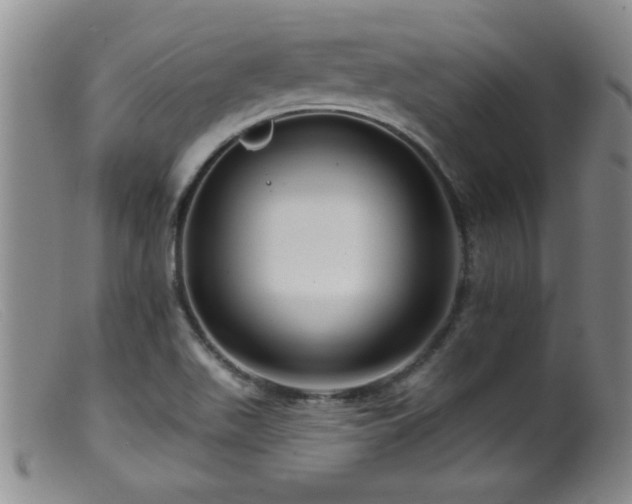 X0000099451511200805161010