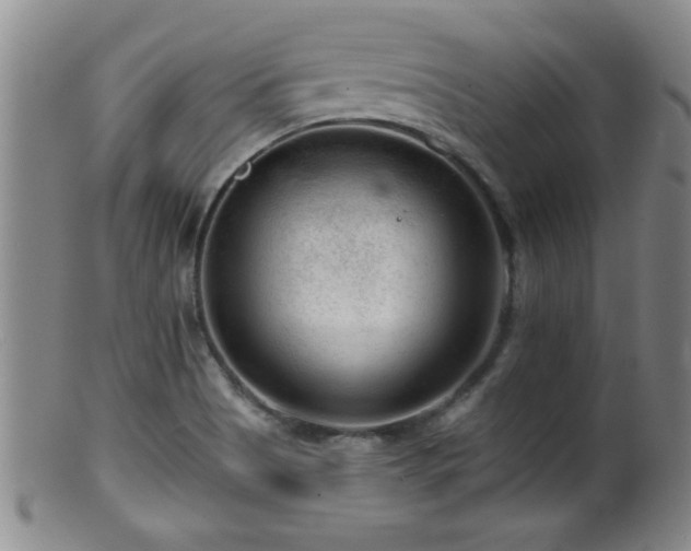 X0000099451513200805161010