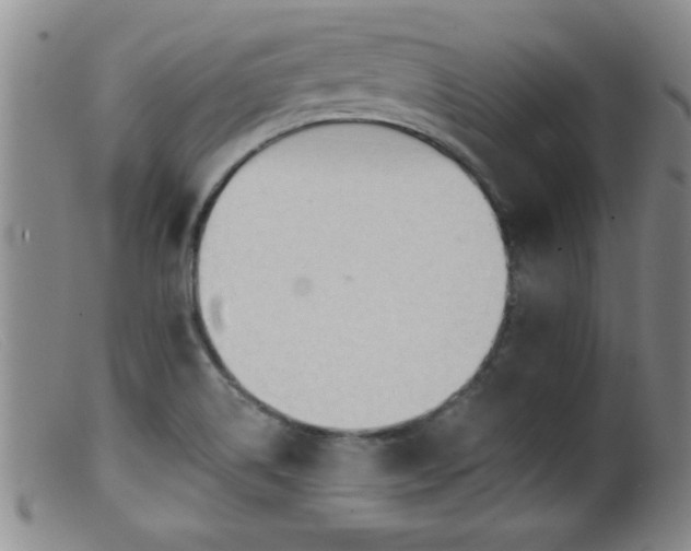 X0000099451514200805161010