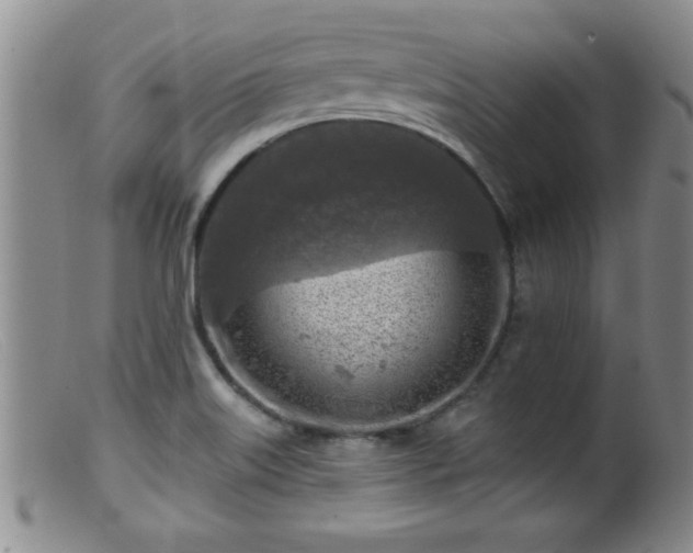 X0000099451515200805161010