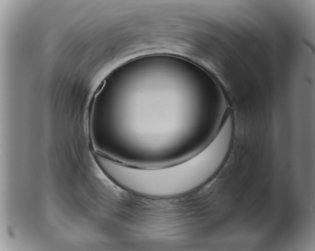X0000099451516200805161010