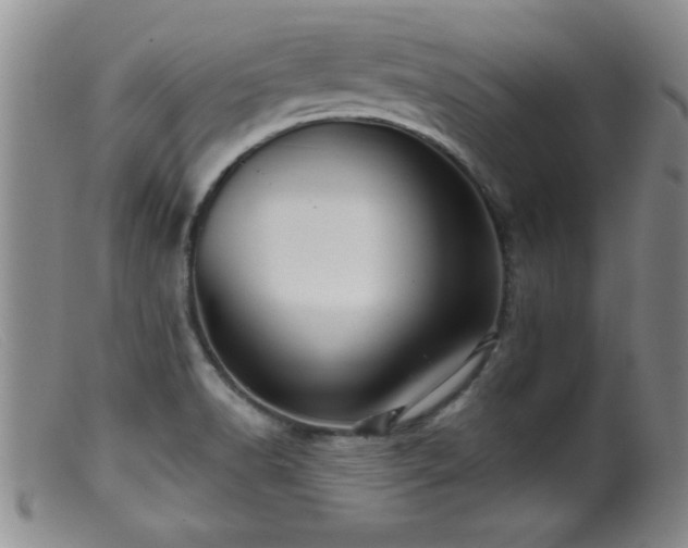 X0000099451518200805161010
