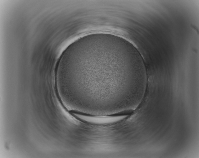 X0000099451523200805161010