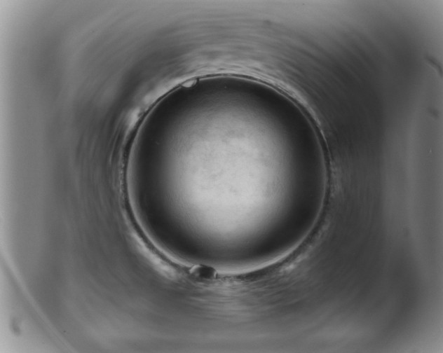 X0000099451525200805161010