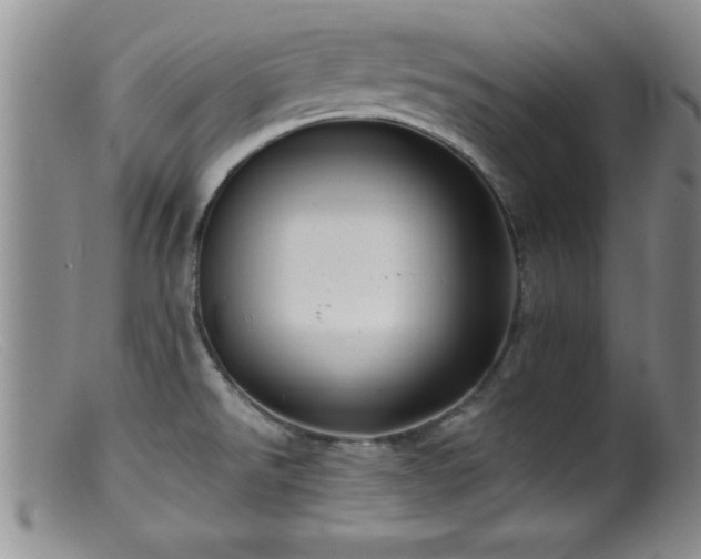 X0000099451526200805161010