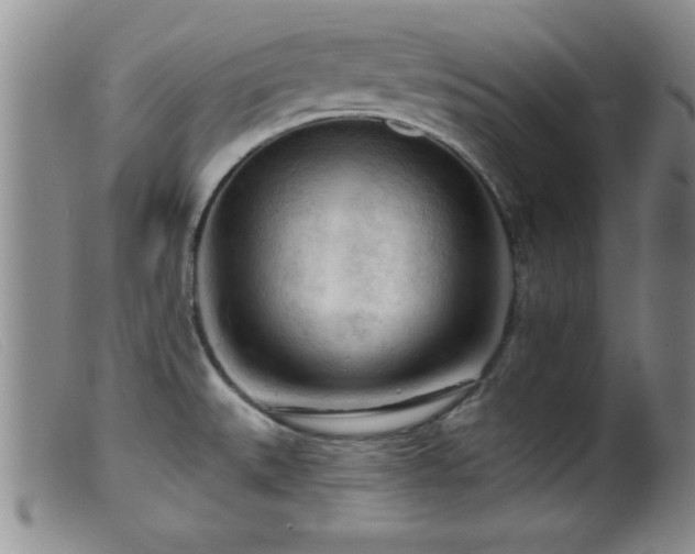 X0000099451527200805161010