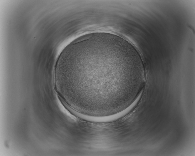 X0000099451528200805161010
