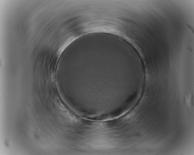 X0000099451529200805161010