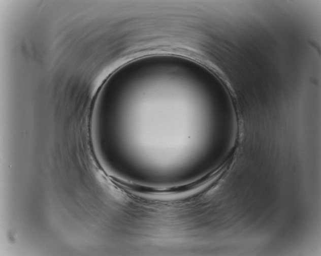 X0000099451530200805161010