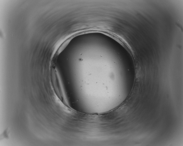 X0000099451532200805161010