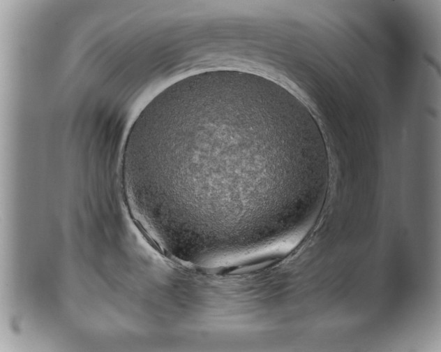 X0000099451536200805161010