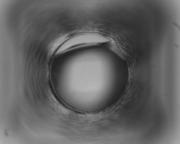 X0000099450005200805231753