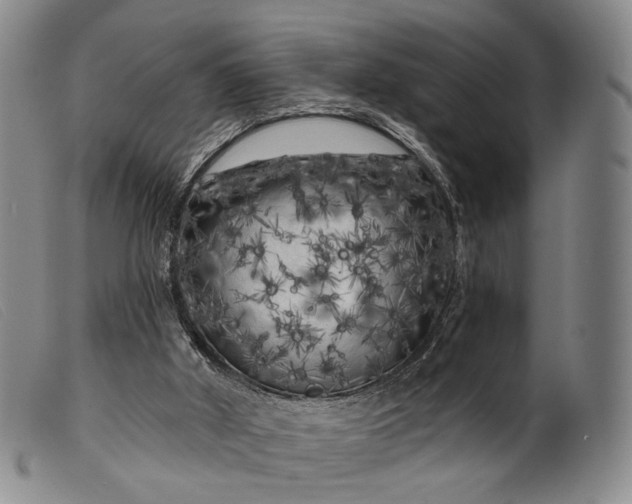 X0000099450010200805231753