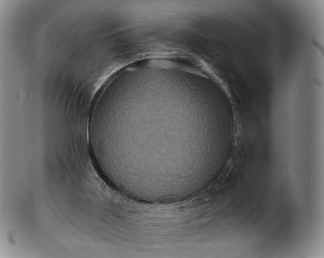 X0000099450011200805231753