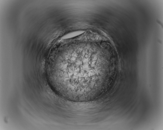 X0000099450018200805231753