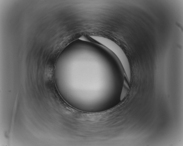 X0000099450033200805231752