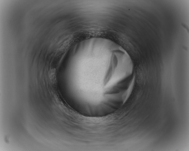 X0000099450034200805231752