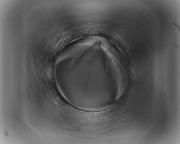 X0000099450035200805231752