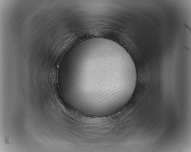 X0000099450036200805231752