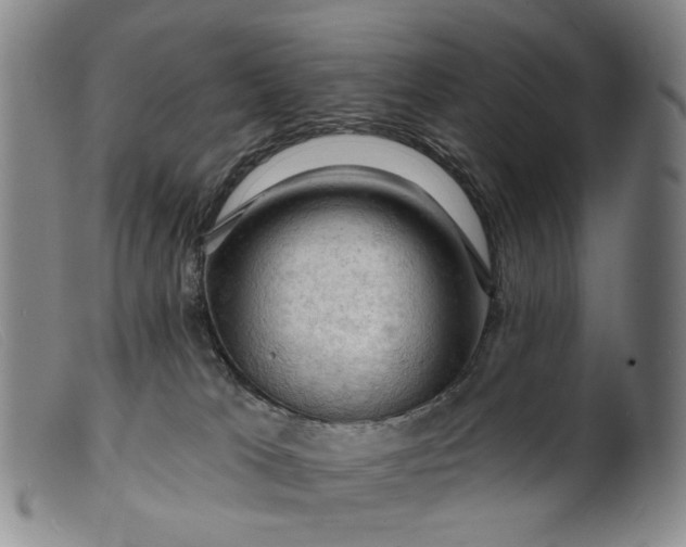 X0000099450037200805231752