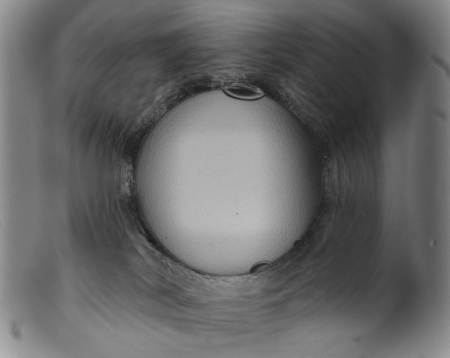 X0000099450038200805231752