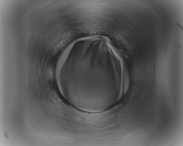 X0000099450039200805231752