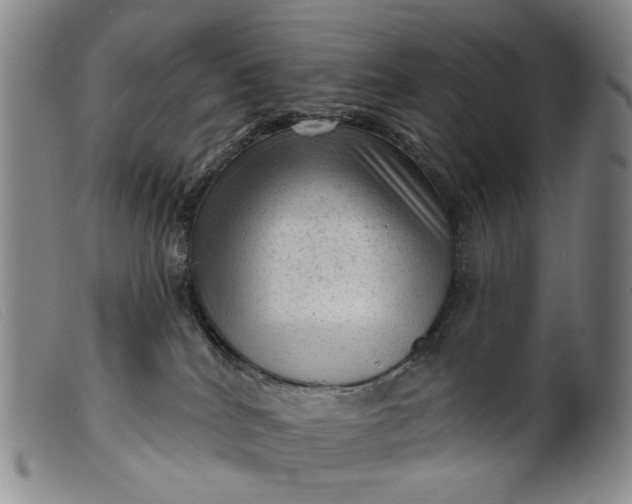 X0000099450040200805231752