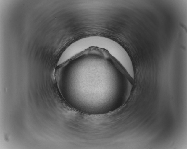 X0000099450041200805231752