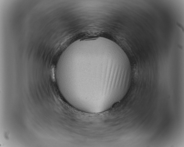 X0000099450042200805231752