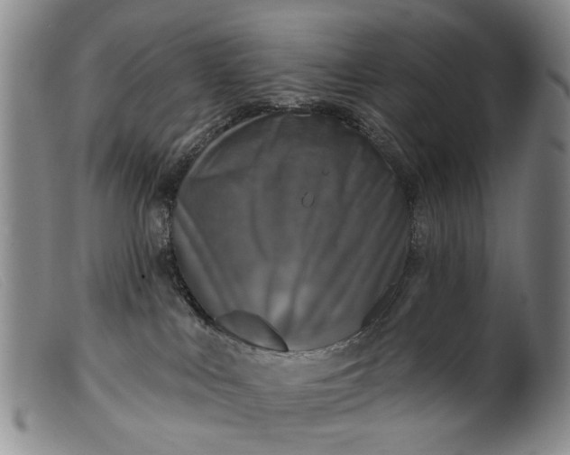 X0000099450043200805231752